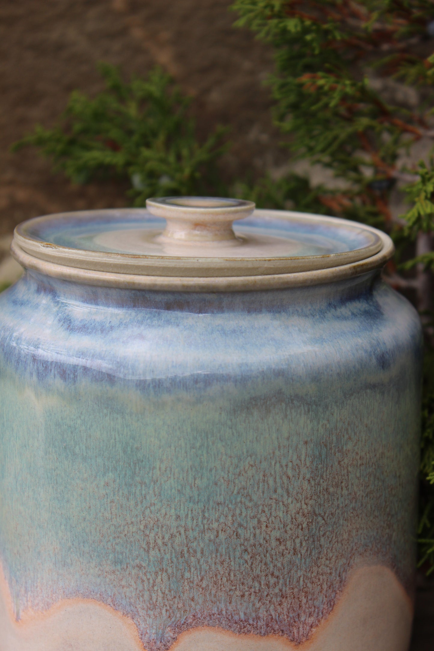 Cookie Jar