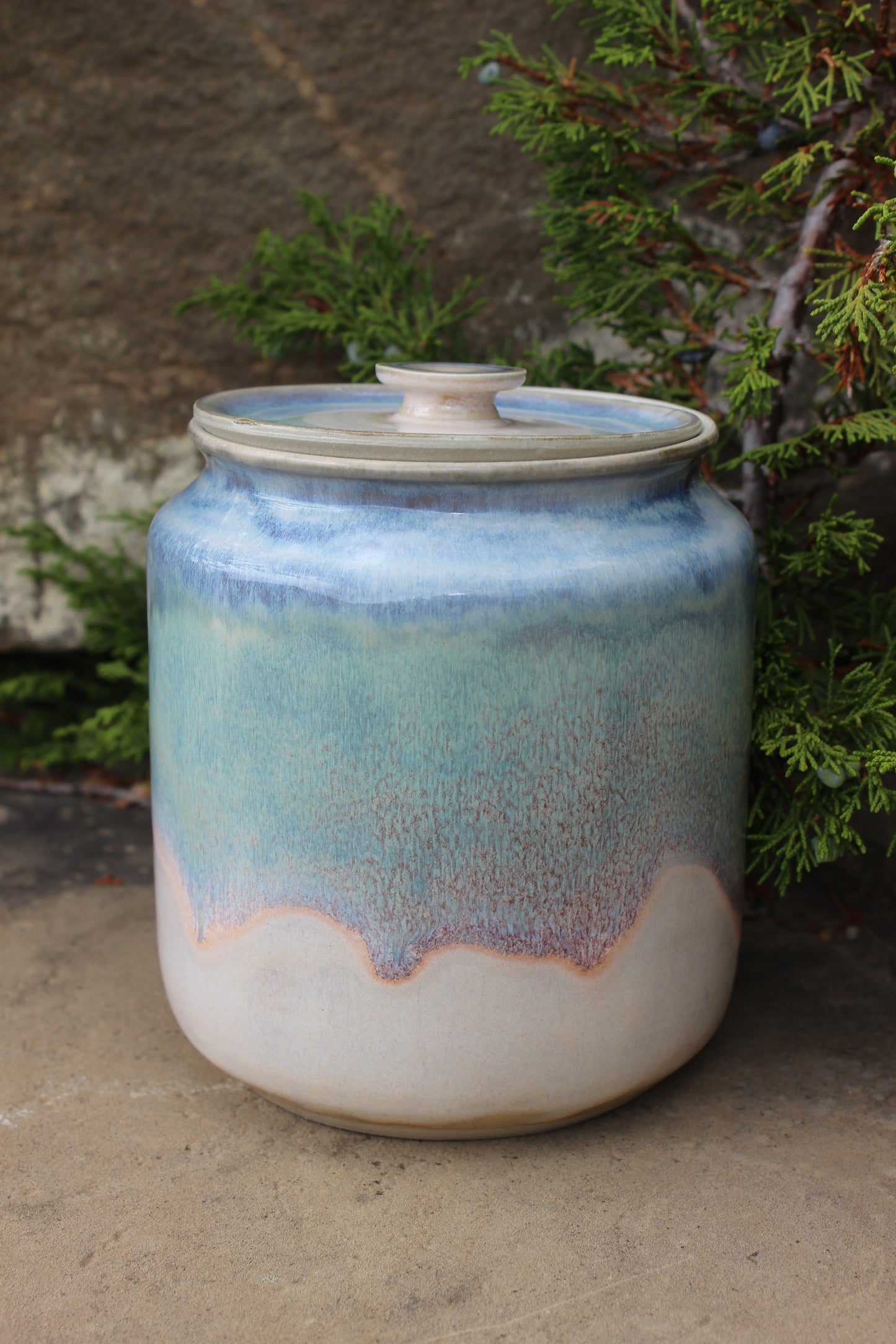 Cookie Jar