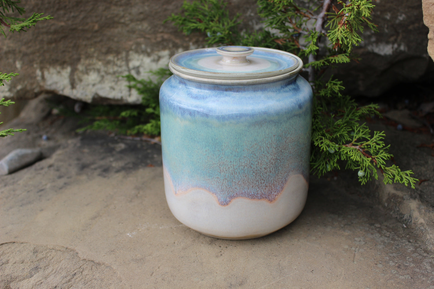Cookie Jar