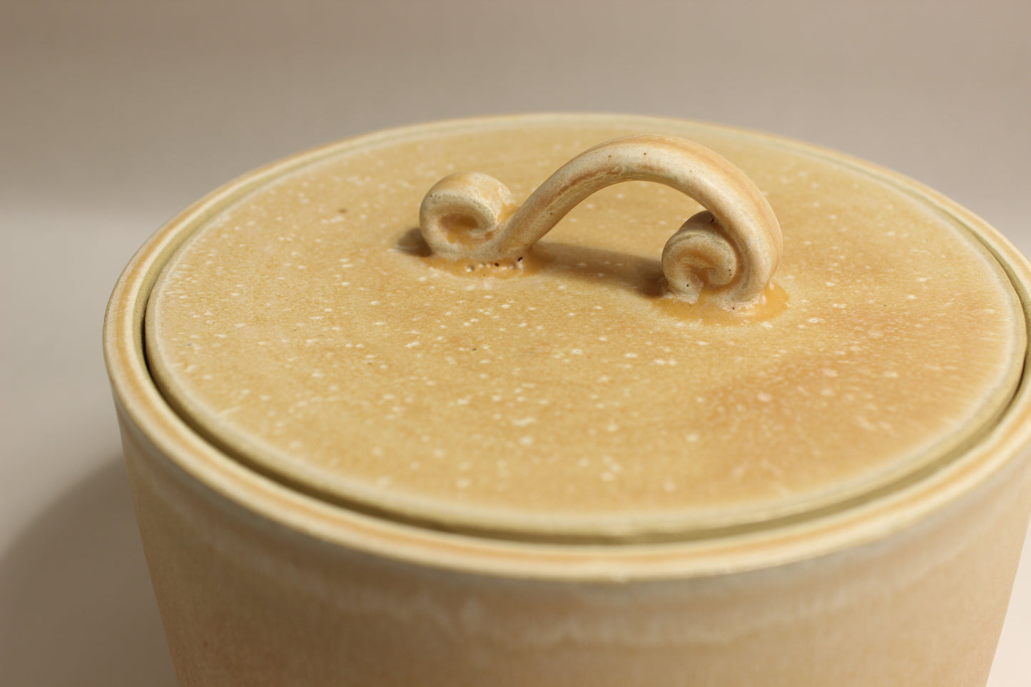 Sea Salt Cookie Jar