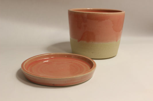 Plant Pot and Saucer
