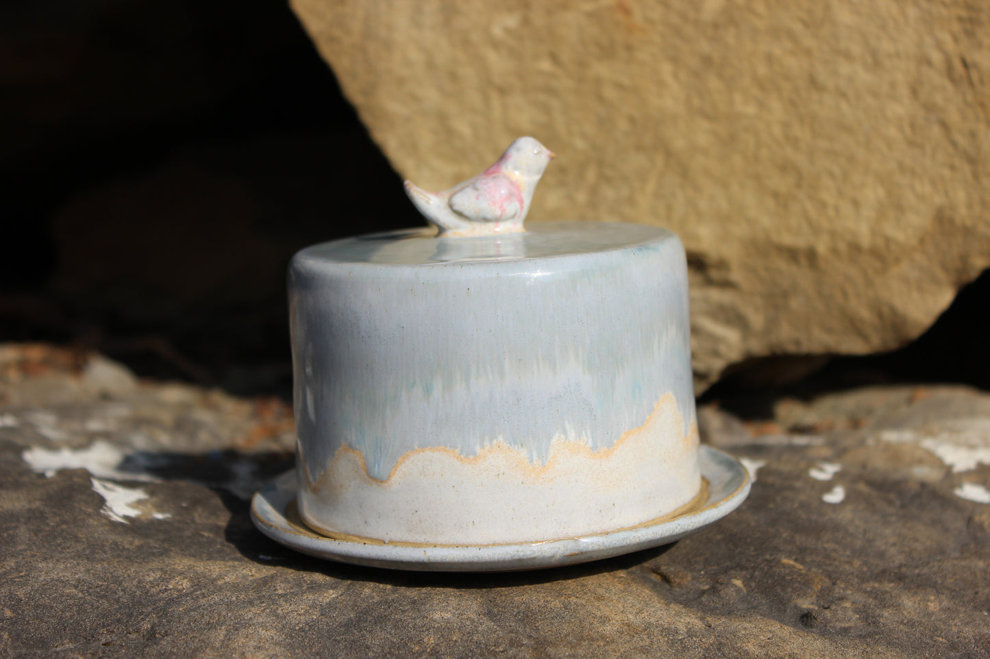 Butter dish