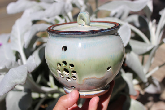 Green Garlic Jar