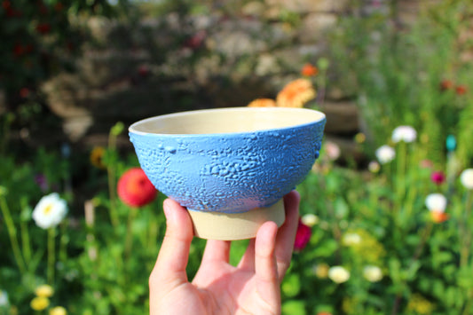 Textured Noodle Bowl