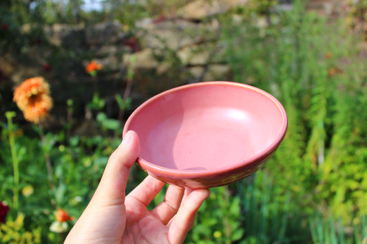 Shallow Pink Bowl