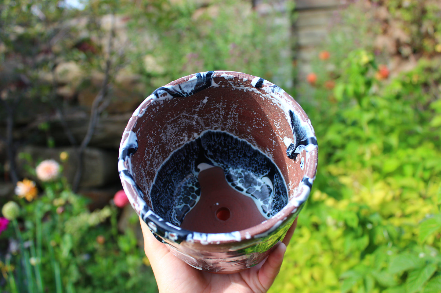 Plant Pot