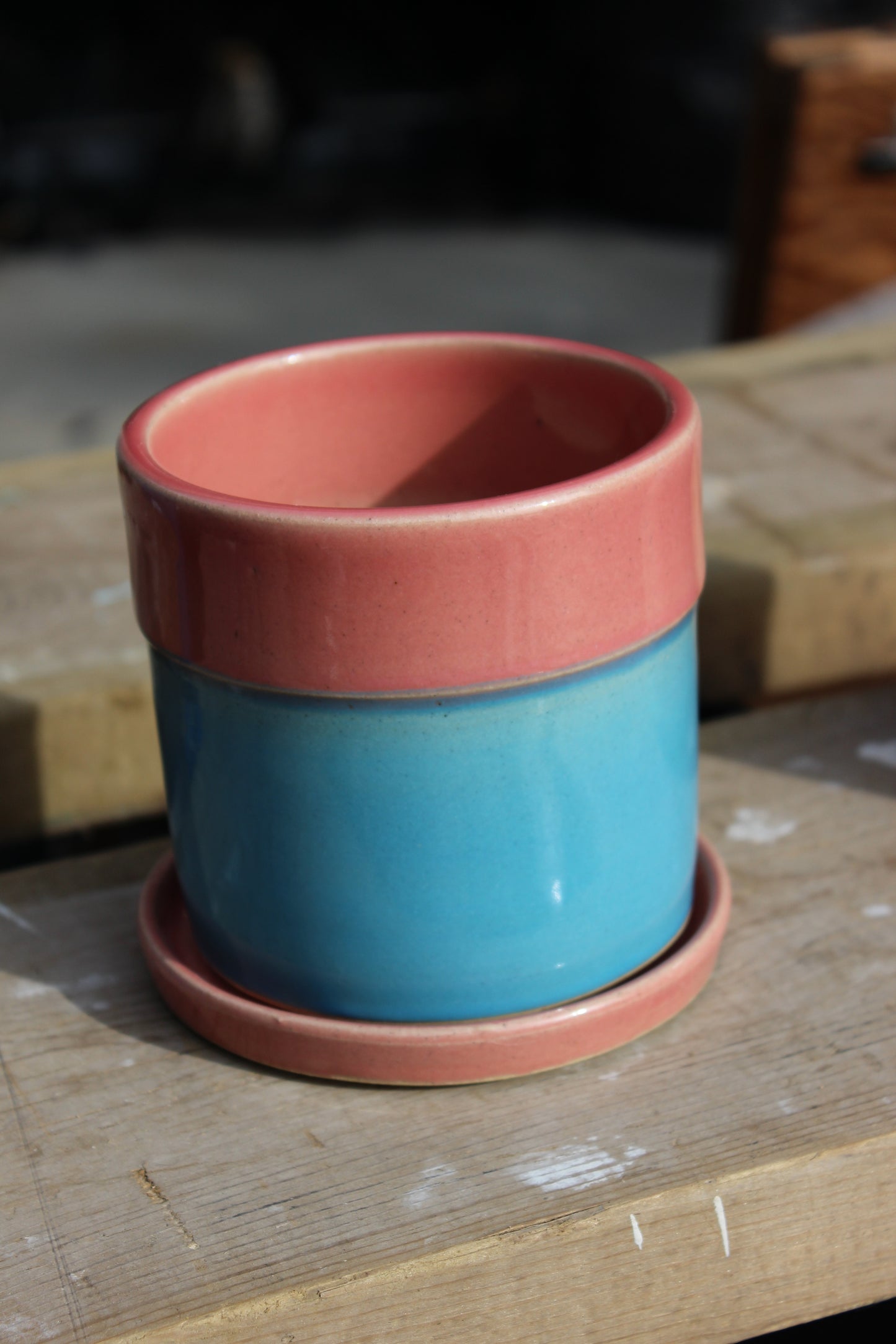 Blue and Pink Plant Pot