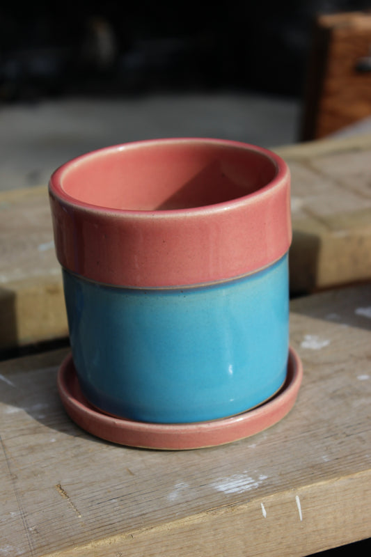 Blue and Pink Plant Pot